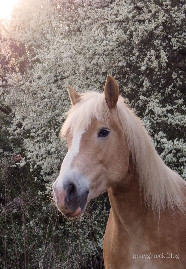 Fotoshooting on my&nbsp;own