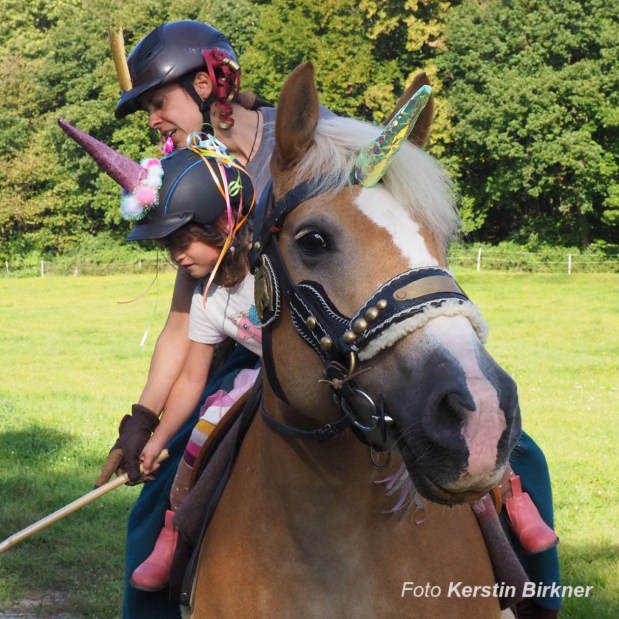 Das NEINhorn auf&nbsp;Schnitzeljagd
