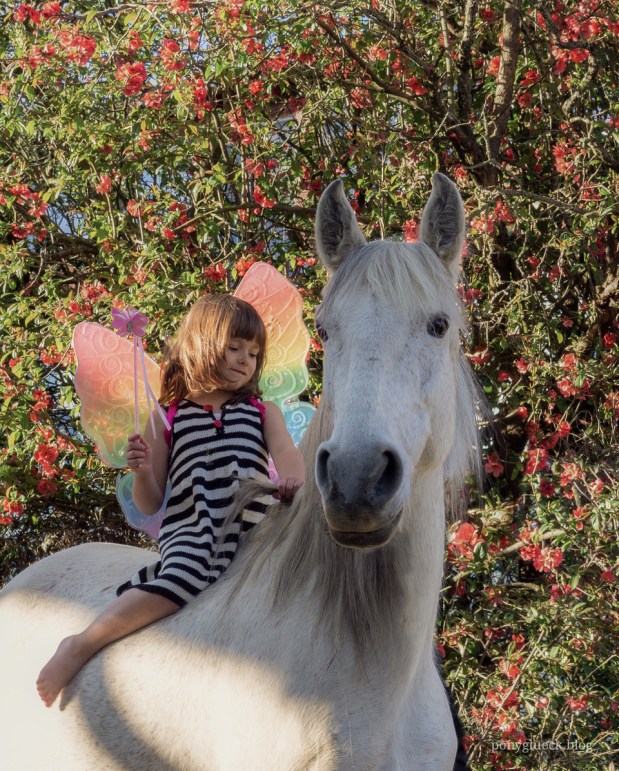 Von Feen und&nbsp;Kompromissen