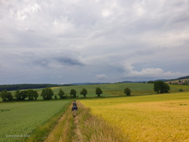 Unser erster Wanderritt