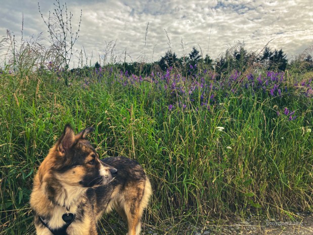 Ein Kapitel für&nbsp;sich…